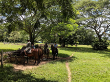 Belize-Interior-Jungle Explorer Getaway